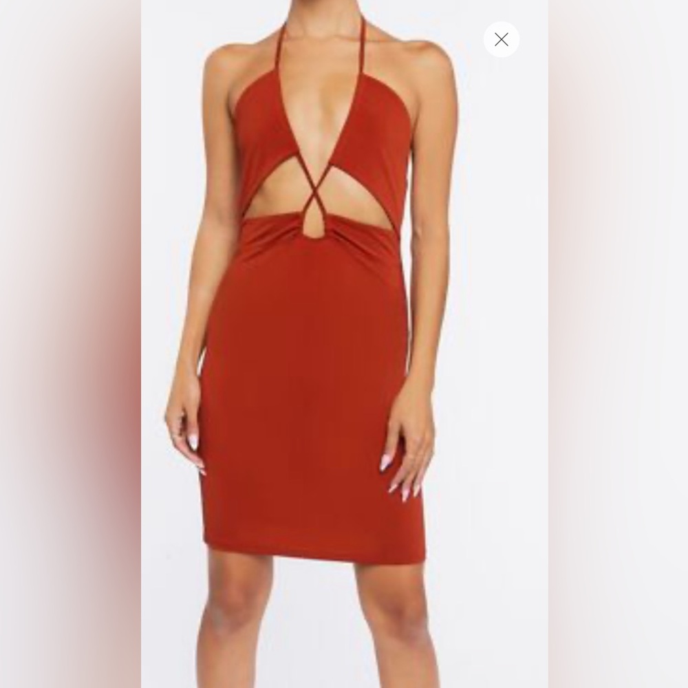 Forever 21 rust color dress. Stretch. Size small. NEW! NWT.